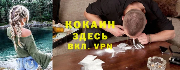 винт Арсеньев